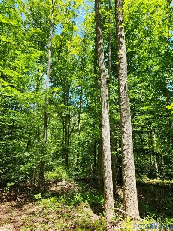 15 Ac Manteo Road, Buckingham, VA 23921 - #3