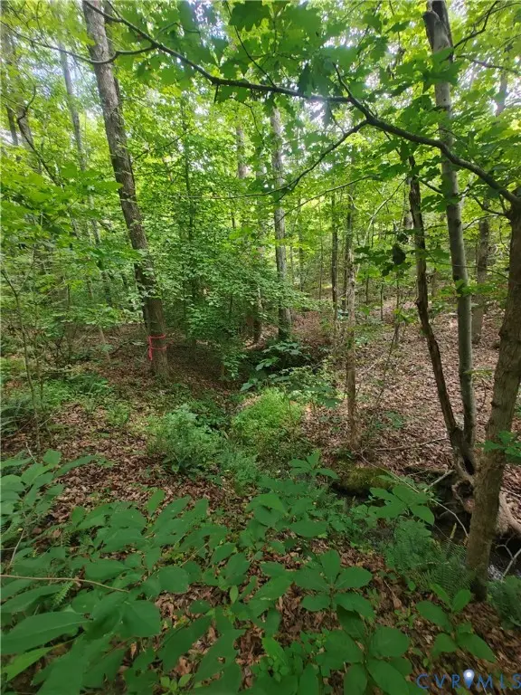 0 Davenport Road, Cumberland, VA 23040 - #3