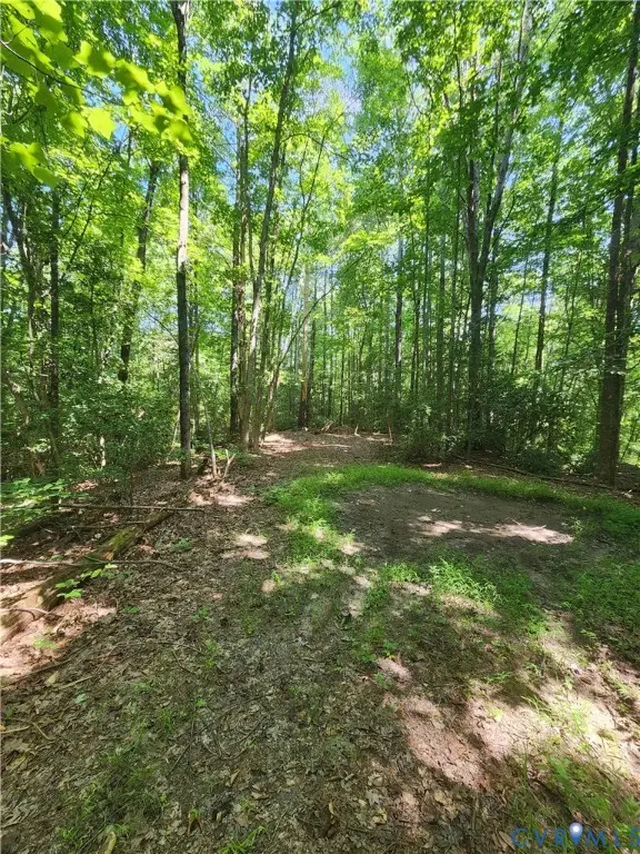 3282 Richmond Highway, Central, VA 22560 - #3