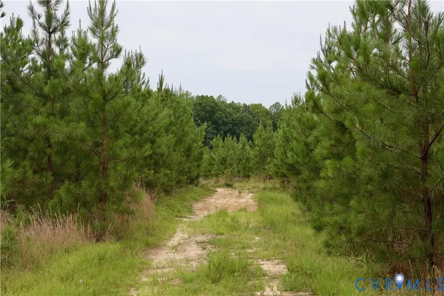 0 Moorefield Road, Mineral, VA 23117 - #2