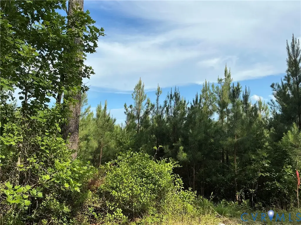 0 Fortune (48 Acres) Drive, Milford, VA 22514 - #1
