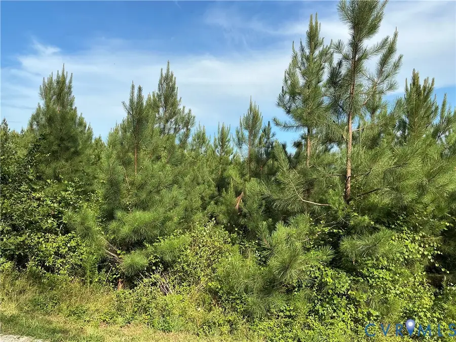 0 Fortune (48 Acres) Drive, Milford, VA 22514 - #3