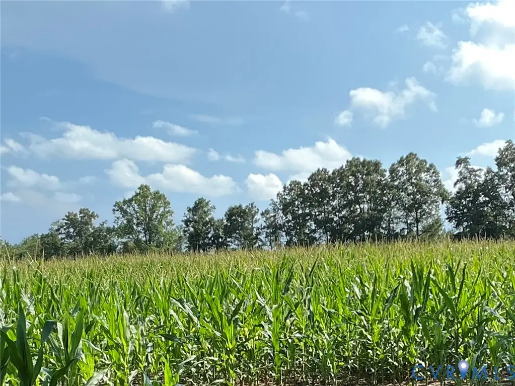 00 Fortune (26 Acres) Drive, Milford, VA 22514 - #1