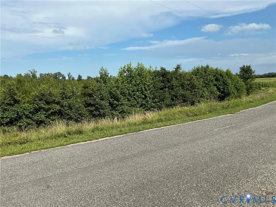 00 Fortune (26 Acres) Drive, Milford, VA 22514 - #2