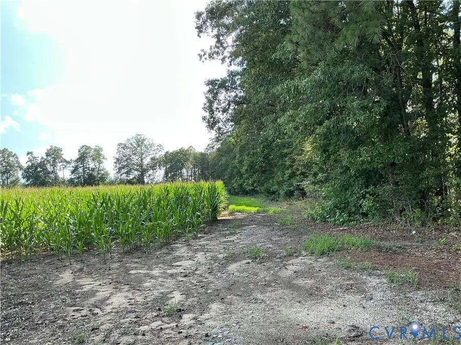00 Fortune (26 Acres) Drive, Milford, VA 22514 - #3