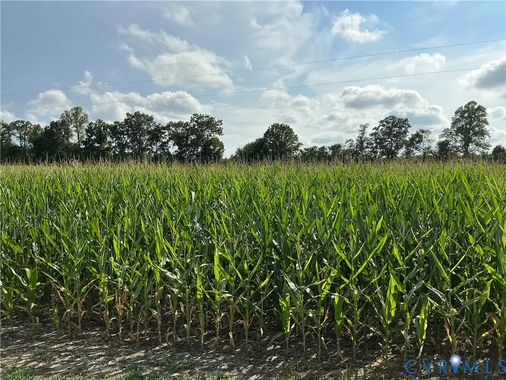 000 Fortune (3 Acres) Drive, Milford, VA 22514 - #1