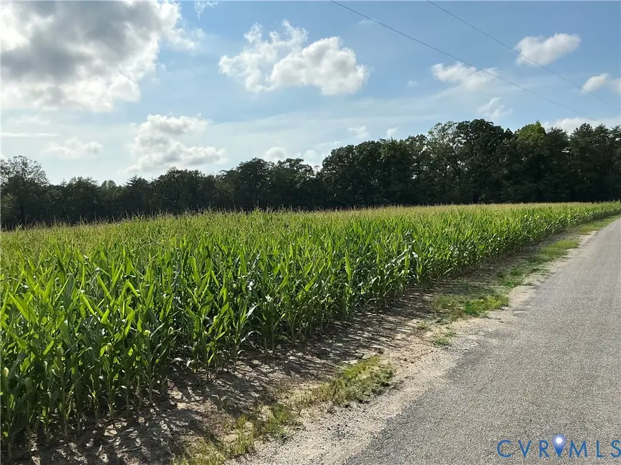 000 Fortune (3 Acres) Drive, Milford, VA 22514 - #2