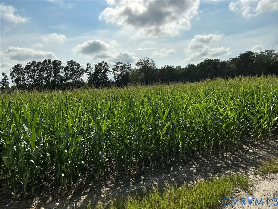 000 Fortune (3 Acres) Drive, Milford, VA 22514 - #3