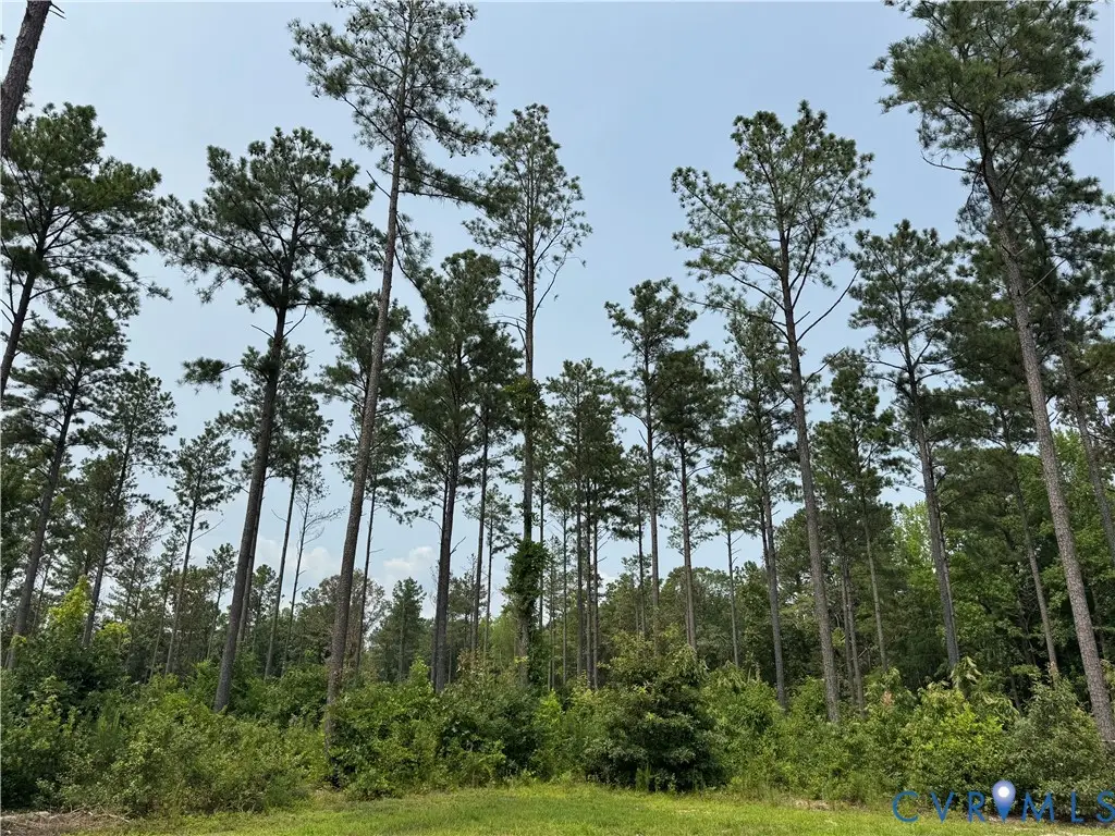 13545 Old Telegraph Road, Providence Forge, VA 23140 - #1
