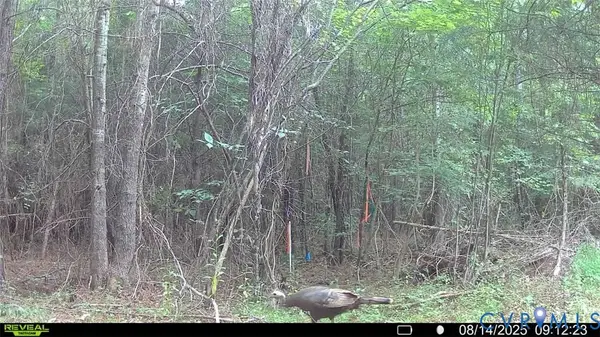 n/a Doswell Town Rd, Lunenburg, VA 23952
