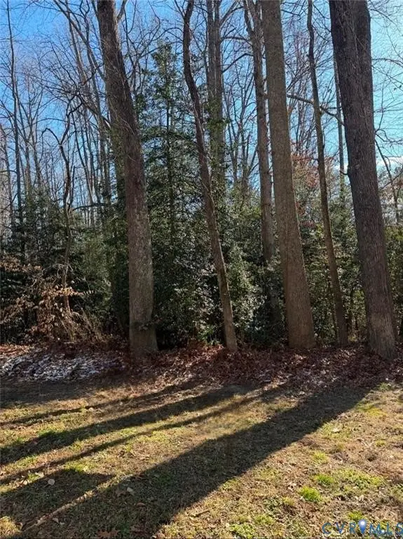 000 Jeffrey Road, Ruther Glen, VA 22546 - #2