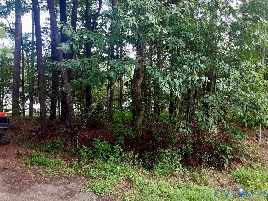 006 Lane Road, Reedville, VA 22539 - #3