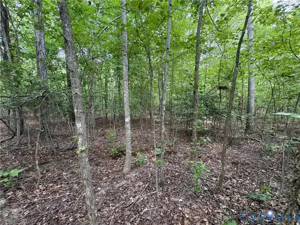 Lot 4 Plum Tree Estates, Louisa, VA 23024