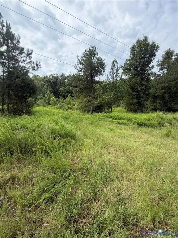 tbd lot 2 Rolfe Highway, Dendron, VA 23839 - #2