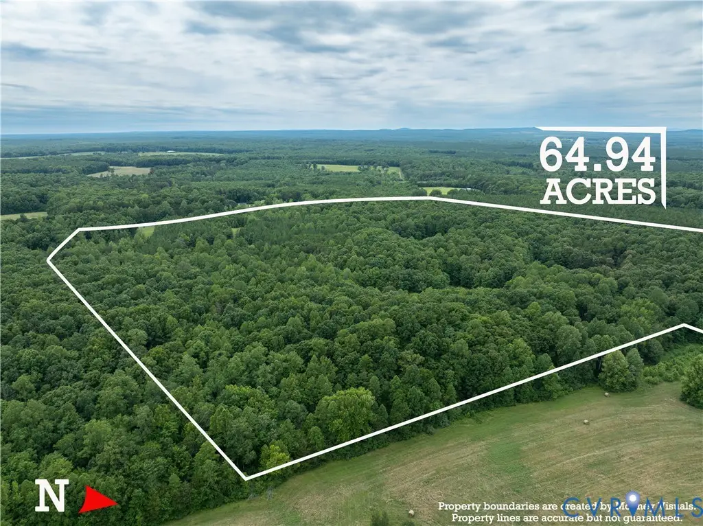 516,480,724 Perkins Mill Road, Dillwyn, VA 23936 - #1