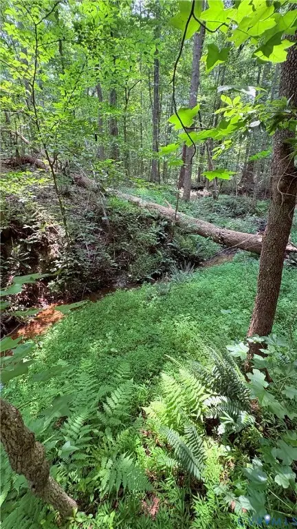 0 Old Buckingham Road, Powhatan, VA 23139
