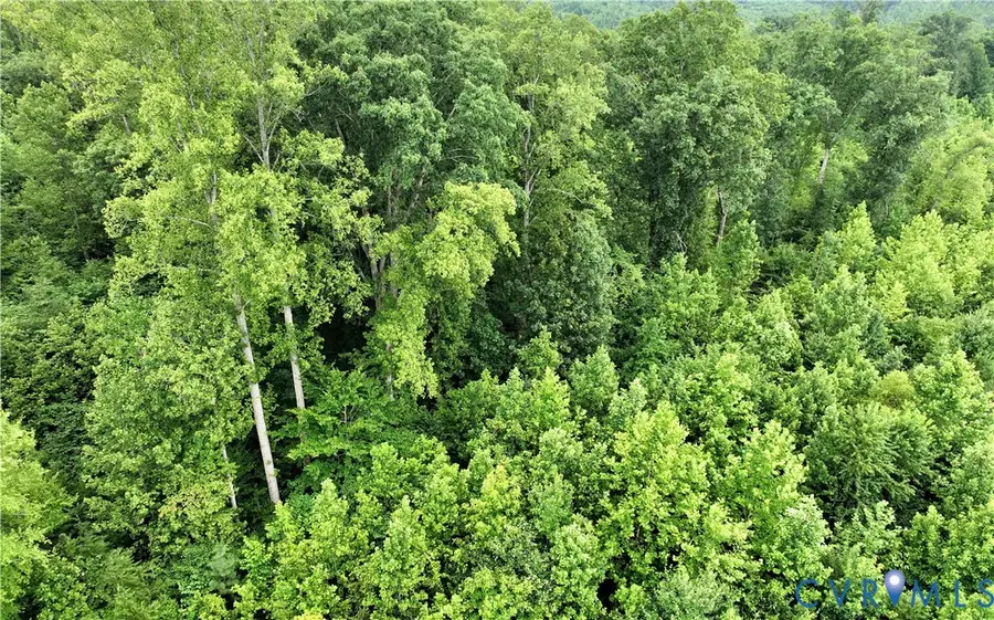 00 Horsepen Road, Farmville, VA 23901 - #3