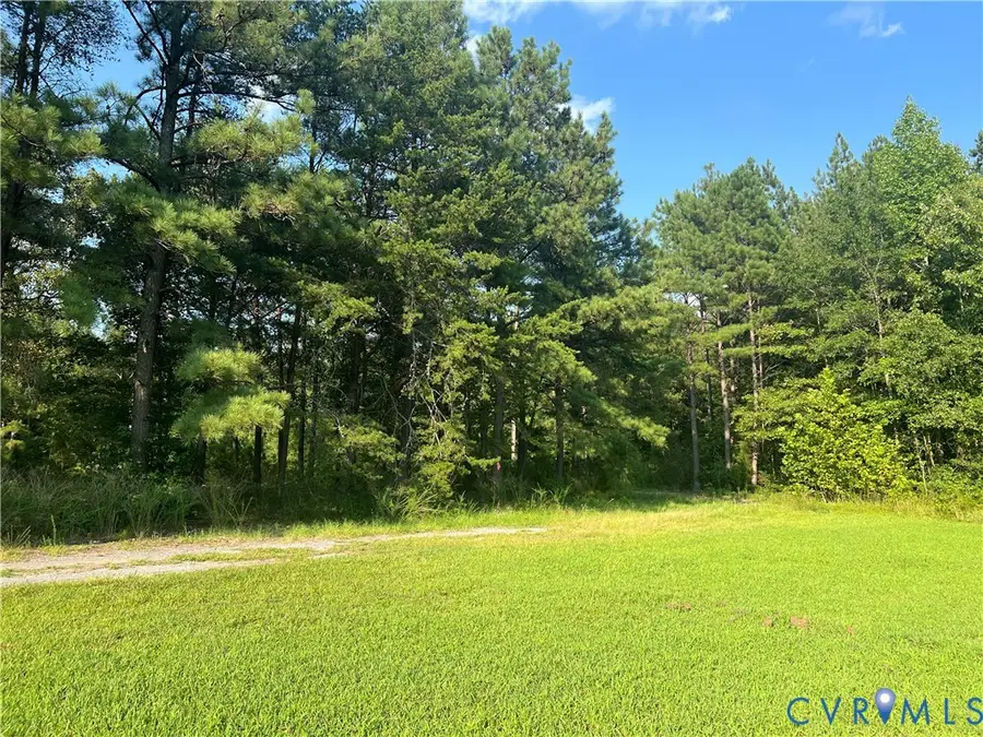 24610 Williamson Road, Dinwiddie, VA 23841 - #3