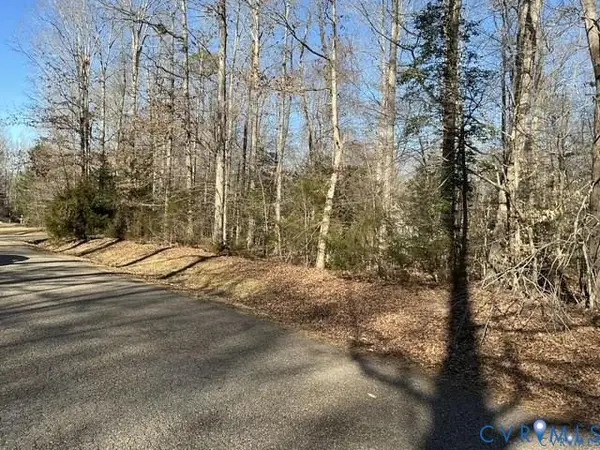 12225 Tavern Hill Court, Chesterfield, VA 23832
