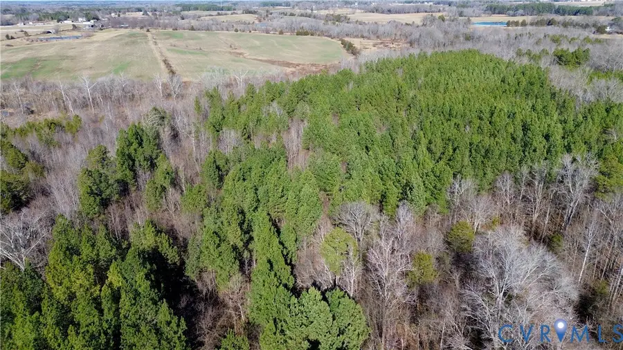 0 Beaver Acres Lane, Buffalo Junction, VA 24529 - #3