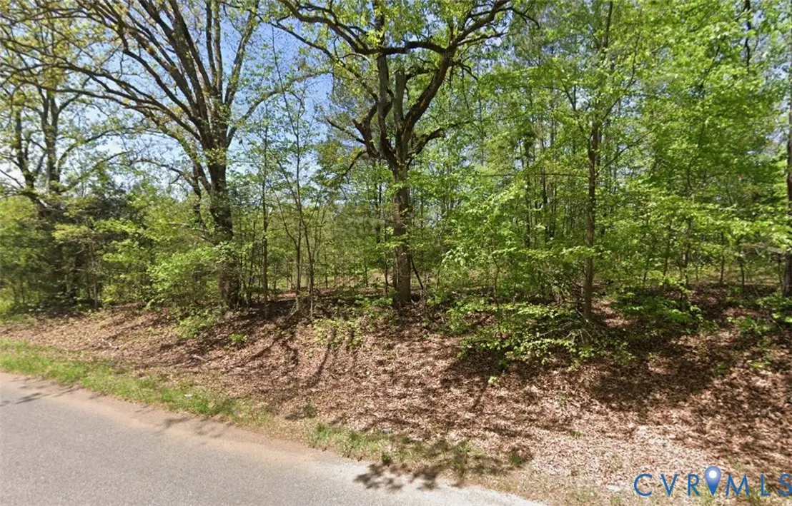 Lot 4 Forksville Road, Forksville, VA 23950 - #1
