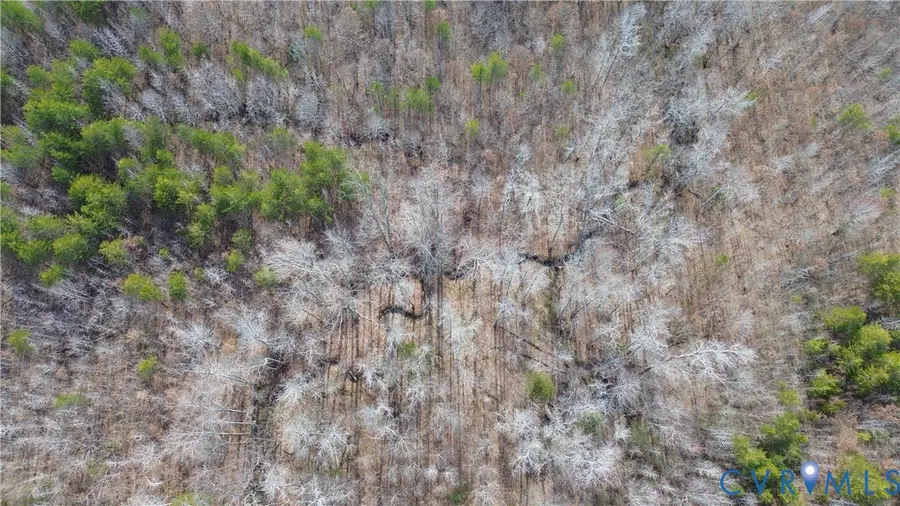 0 W Store Rd, Halifax, VA 24558 - #2