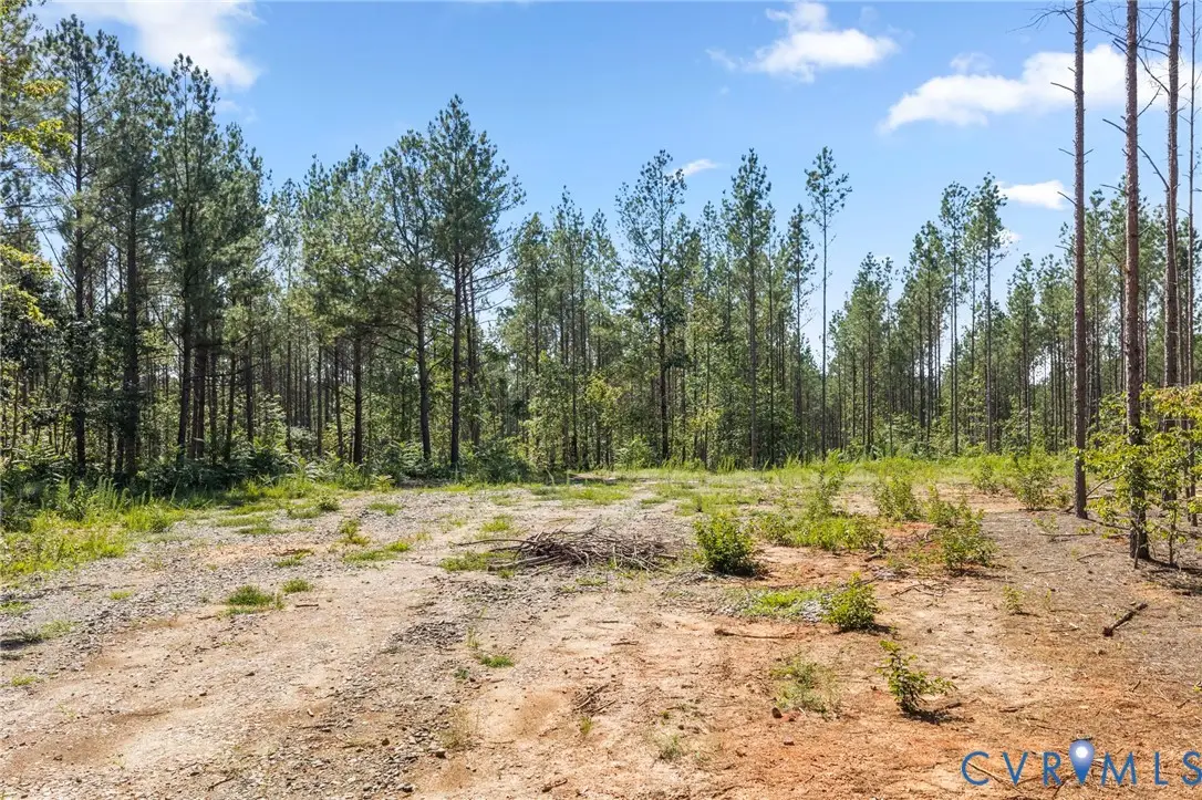0 Algerene Rd, Drakes Branch, VA 23937 - #1