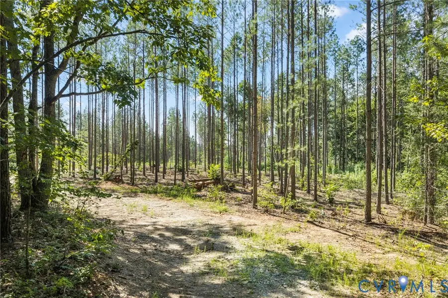 0 Algerene Rd, Drakes Branch, VA 23937 - #3