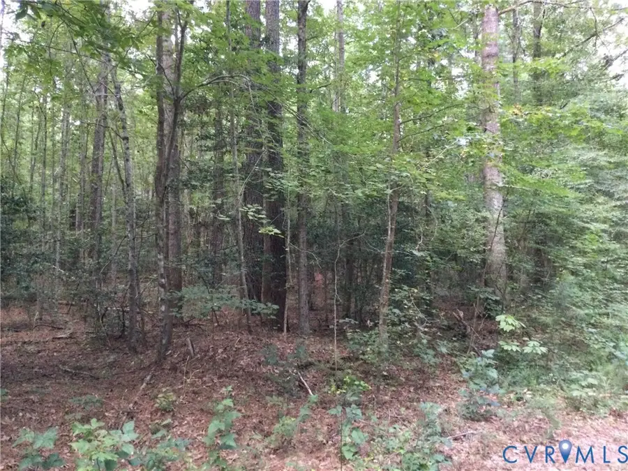 Address Withheld By Seller, Aylett, VA 23069 - #2