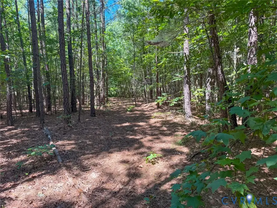 0 Flat Rock Road, Blackstone, VA 23824 - #3