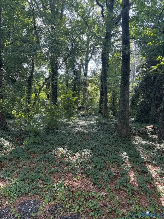 4811 Hopkins Road, Ampthill, VA 23234 - #1