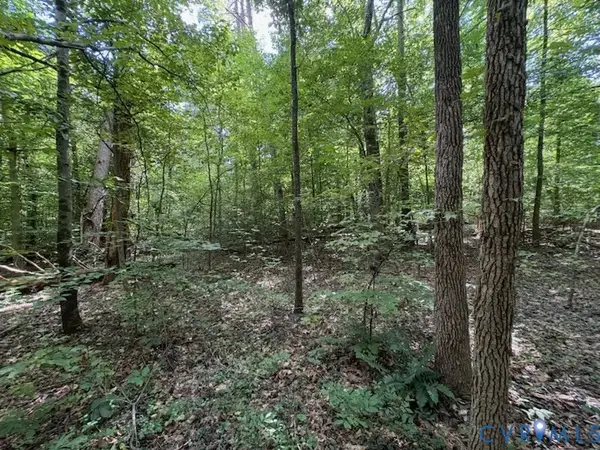 0 Roundabout Road, Louisa, VA 23093