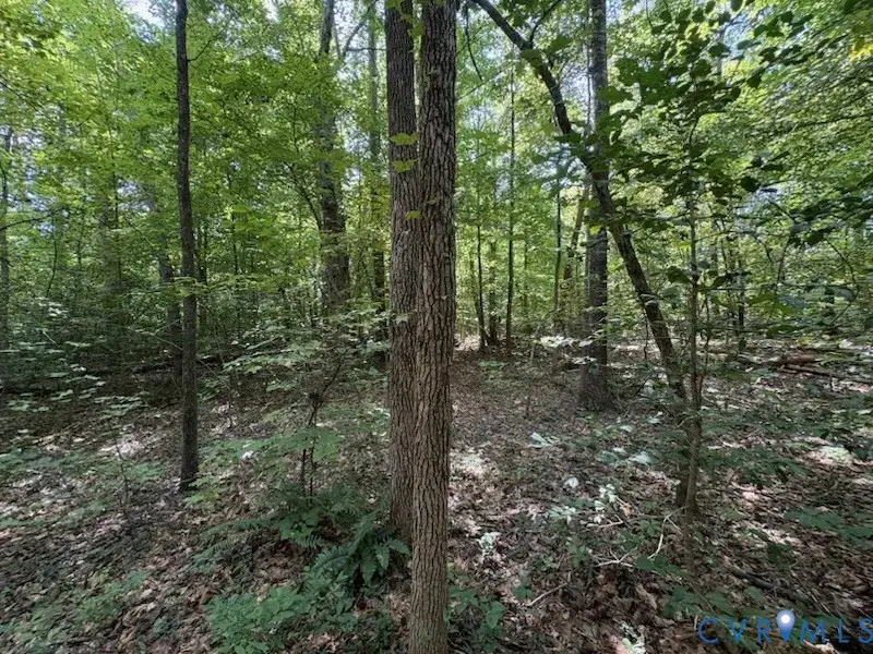 0 Roundabout Road, Louisa, VA 23093 - #2