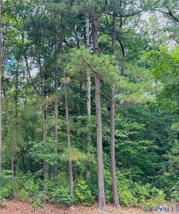 11400 Brooks Street, Greenwood, VA 23059