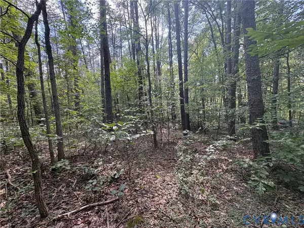 0 Bradshaw Road, Gum Spring, VA 23065