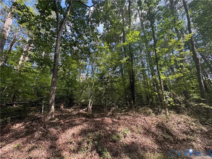 0 Bradshaw Road, Gum Spring, VA 23065 - #2