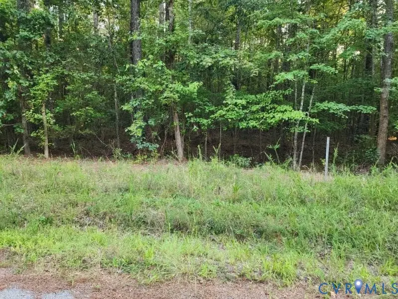Lot 8 Loco School Rd, Courthouse, VA 23882 - #1