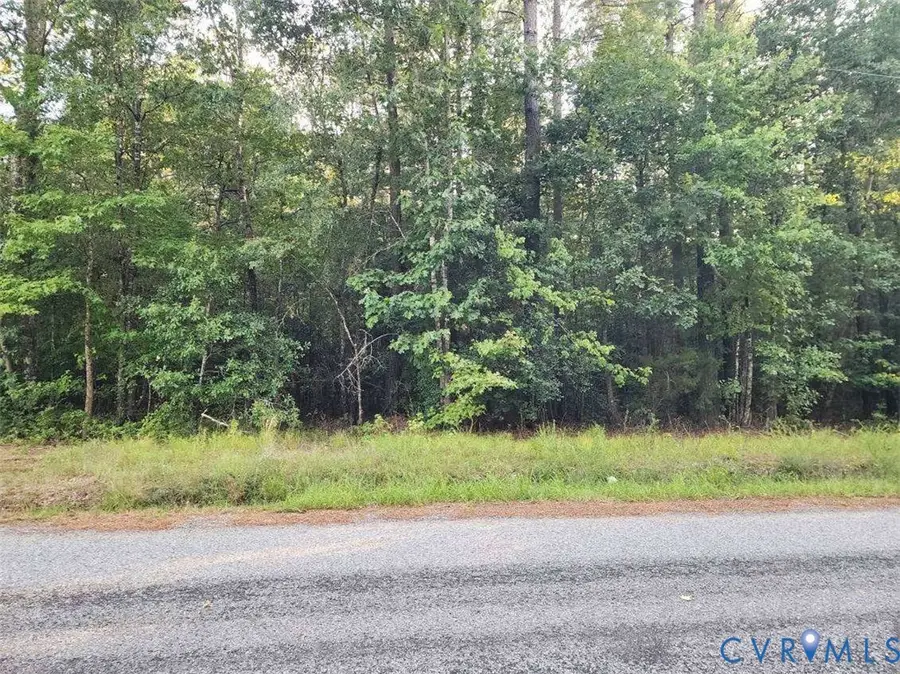 Lot 8 Loco School Rd, Courthouse, VA 23882 - #2