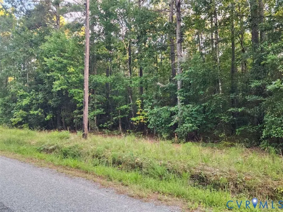 Lot 8 Loco School Rd, Courthouse, VA 23882 - #3