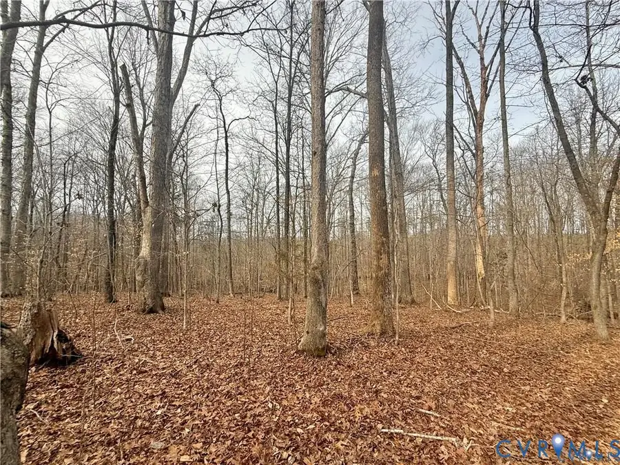 62 Willis Bluff Lane, Cumberland, VA 23040 - #2