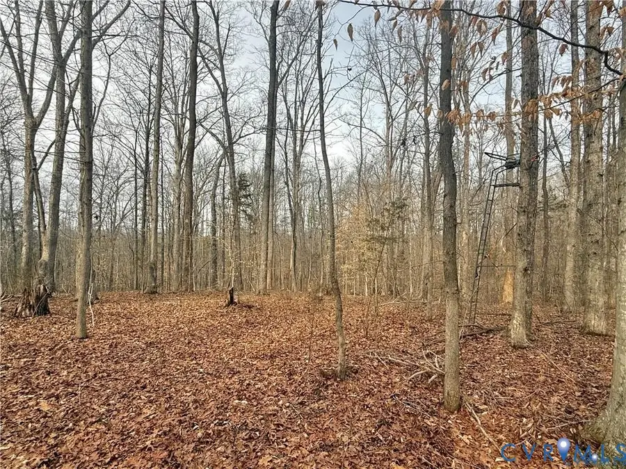 62 Willis Bluff Lane, Cumberland, VA 23040 - #3