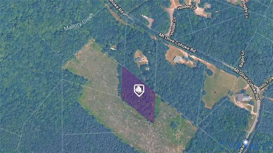 0 Mt Olive Cohoke Rd, King William, VA 23086 - #2