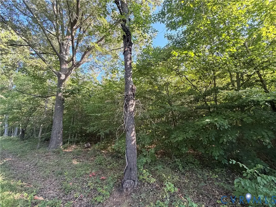 4877 Tabscott Road, Kents Store, VA 23084 - #3