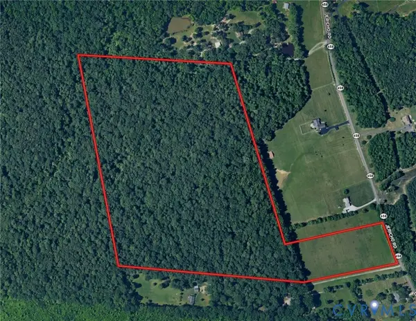 49.26 Acres Jericho Road, Ruther Glen, VA 22546