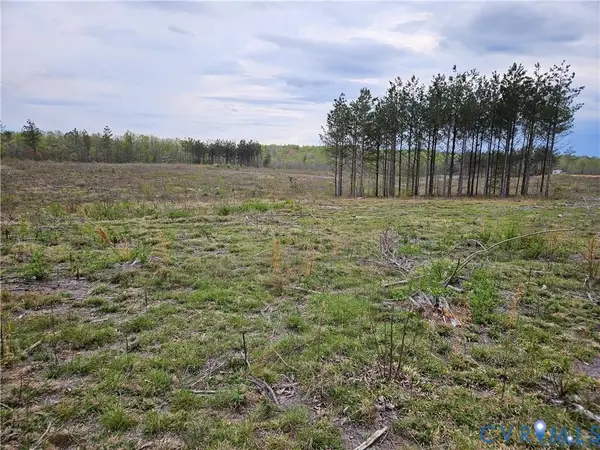 20.635 Acres Prince Edward Highway, Rice, VA 23966