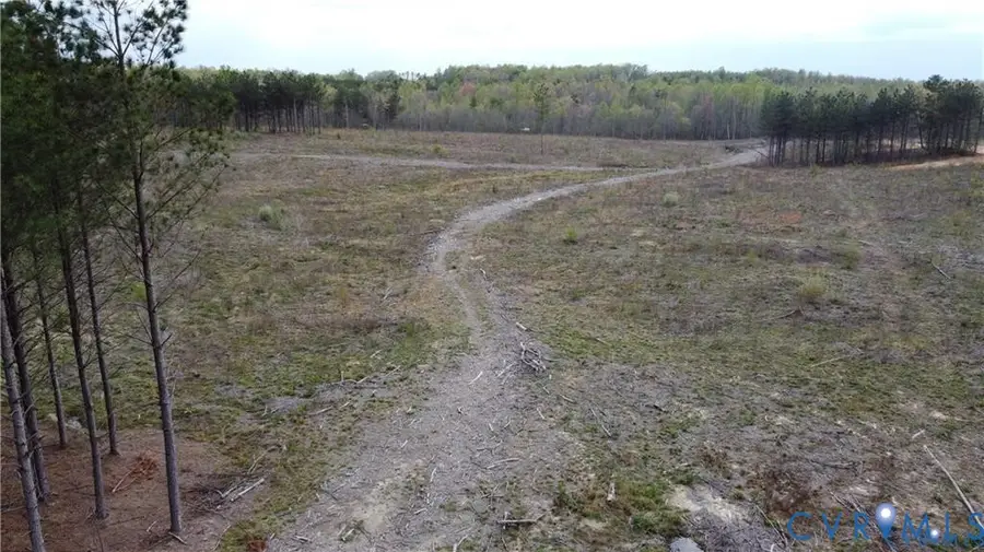 20.635 Acres Prince Edward Highway, Rice, VA 23966 - #3