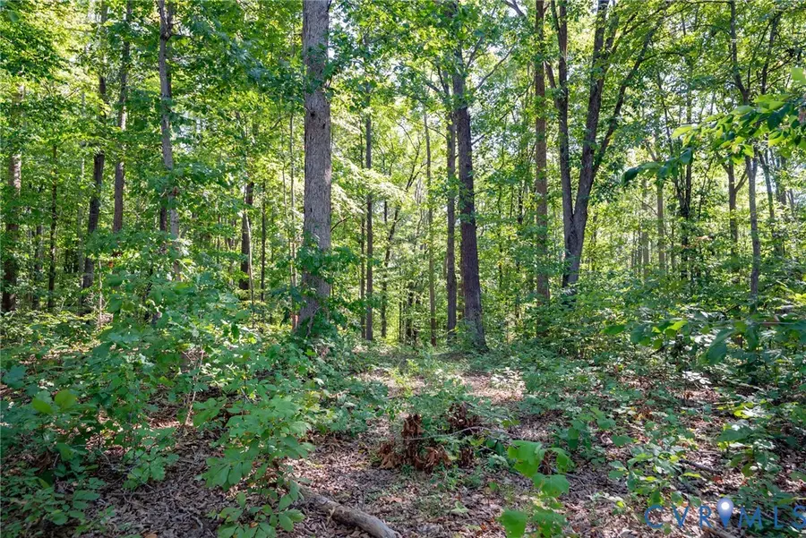 00 Mountain Hall Road, Crewe, VA 23930 - #2
