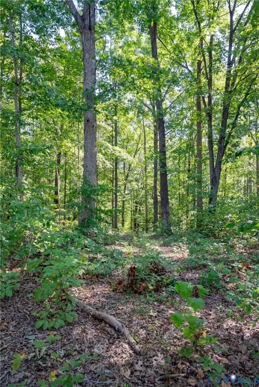 00 Mountain Hall Road, Crewe, VA 23930 - #3