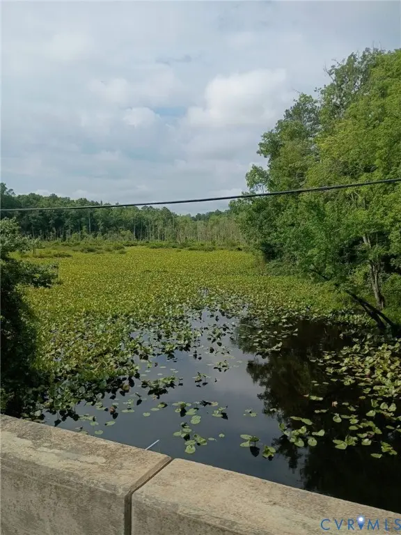 TBD Courthouse Road, Dinwiddie, VA 23833
