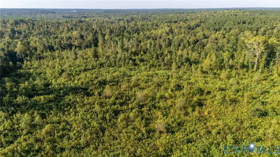 Lot 27-22 Jones Irby Road, Nottoway, VA 23955 - #3